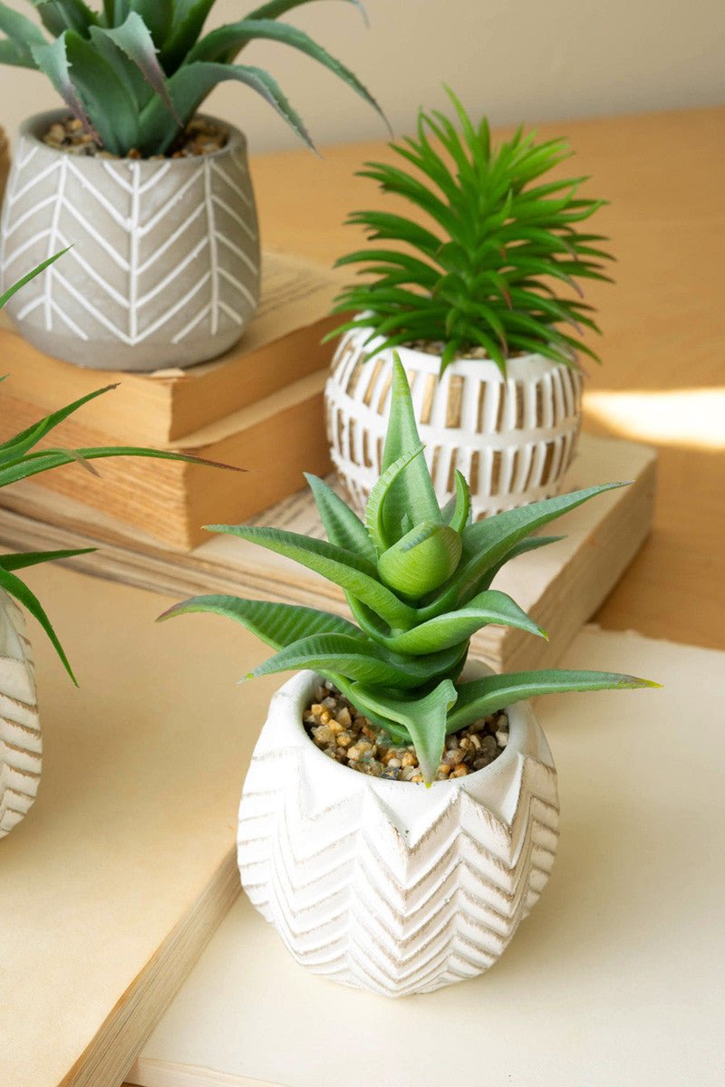 artificial succulents in pots Artificial Succulents in Concrete Pot by Kalalou – D & D Collectibles in Community Pharmacy