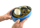 Dino Eggmazing Kit